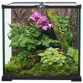 Repti planet terrarium szklane 20x20x20